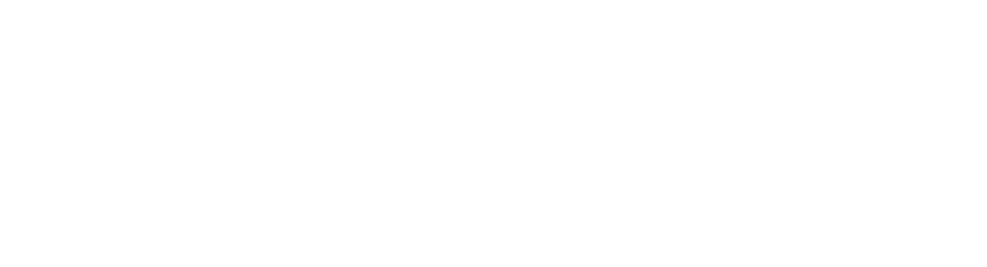 Sustainable Wealth Group